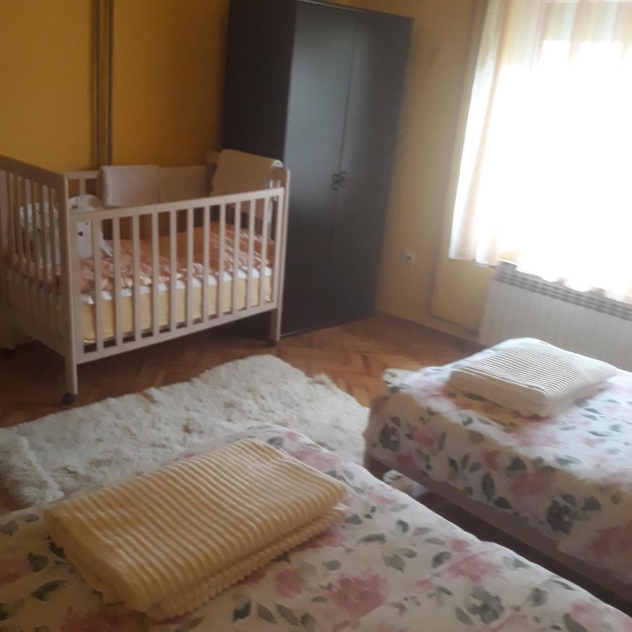 Apartman "Dom Stankovica" Pirot Exterior photo