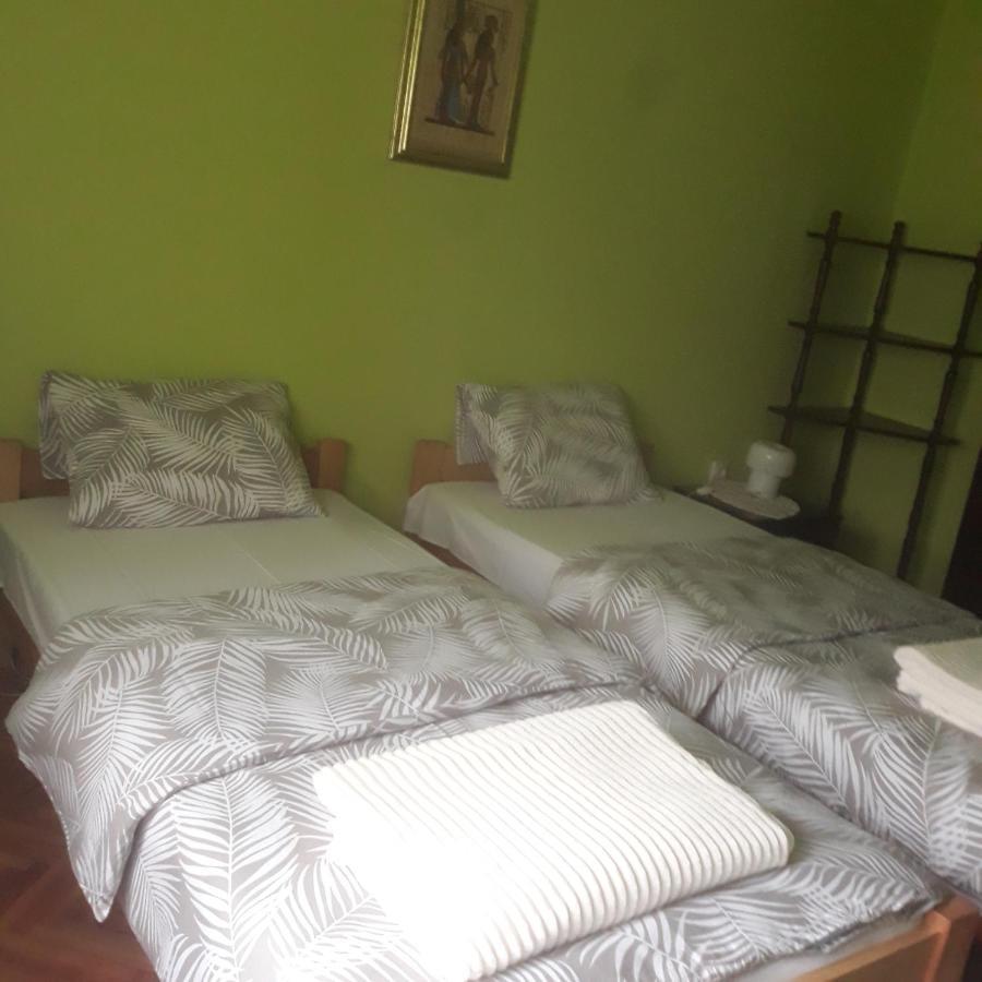 Apartman "Dom Stankovica" Pirot Exterior photo