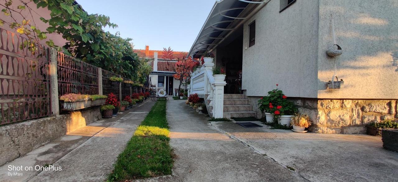 Apartman "Dom Stankovica" Pirot Exterior photo