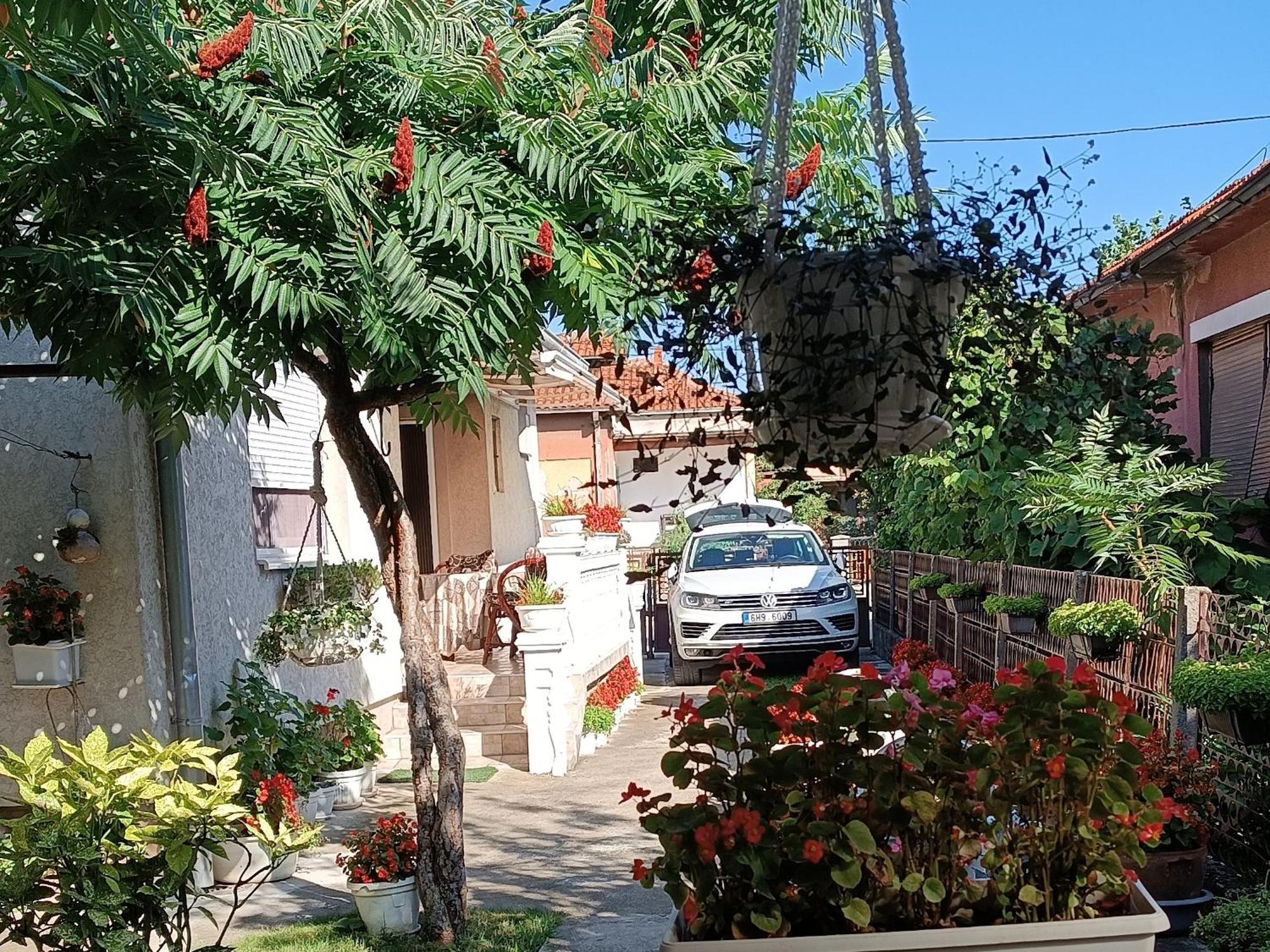Apartman "Dom Stankovica" Pirot Exterior photo