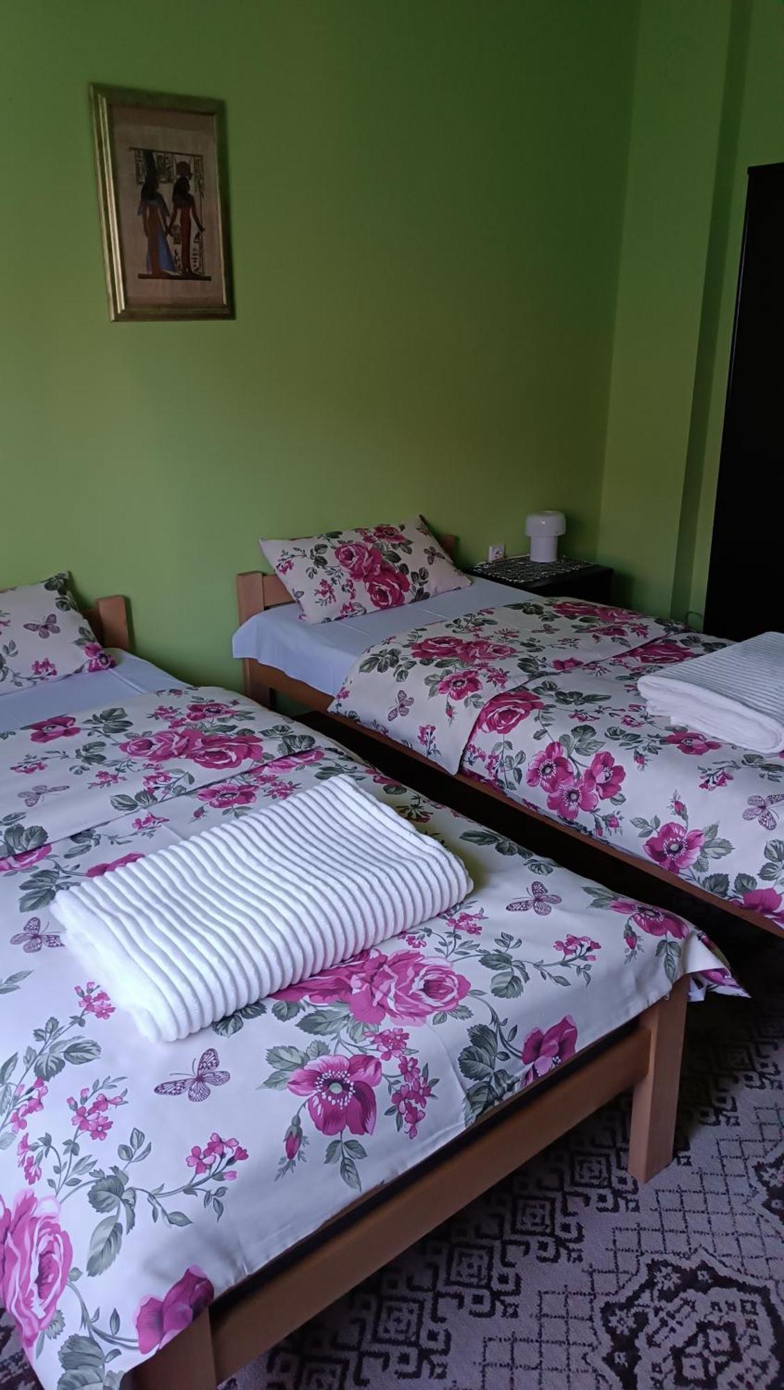 Apartman "Dom Stankovica" Pirot Exterior photo